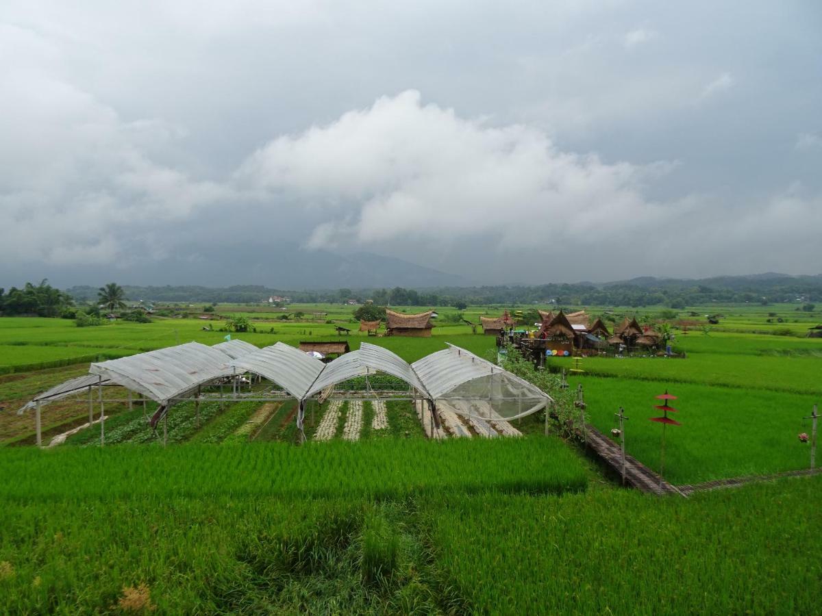 Pua Tranquil Vista Homestay Exterior foto